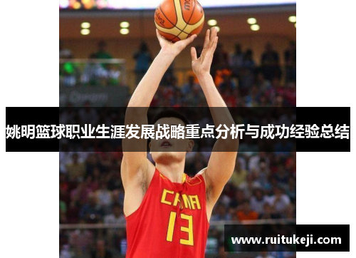 姚明篮球职业生涯发展战略重点分析与成功经验总结