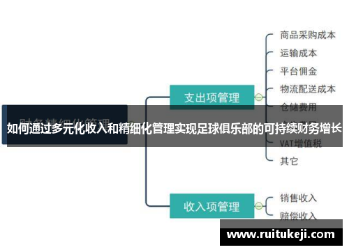 如何通过多元化收入和精细化管理实现足球俱乐部的可持续财务增长