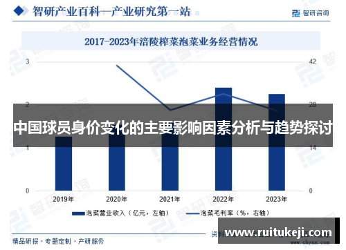 中国球员身价变化的主要影响因素分析与趋势探讨