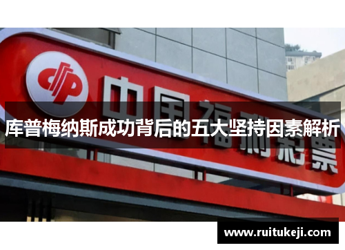 库普梅纳斯成功背后的五大坚持因素解析