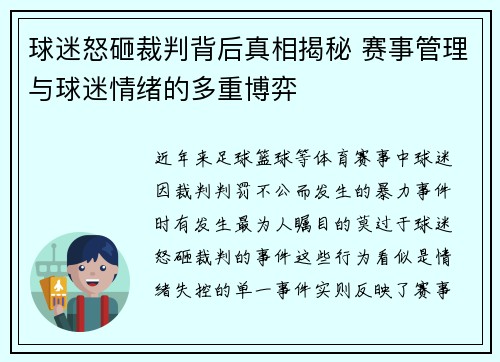 球迷怒砸裁判背后真相揭秘 赛事管理与球迷情绪的多重博弈